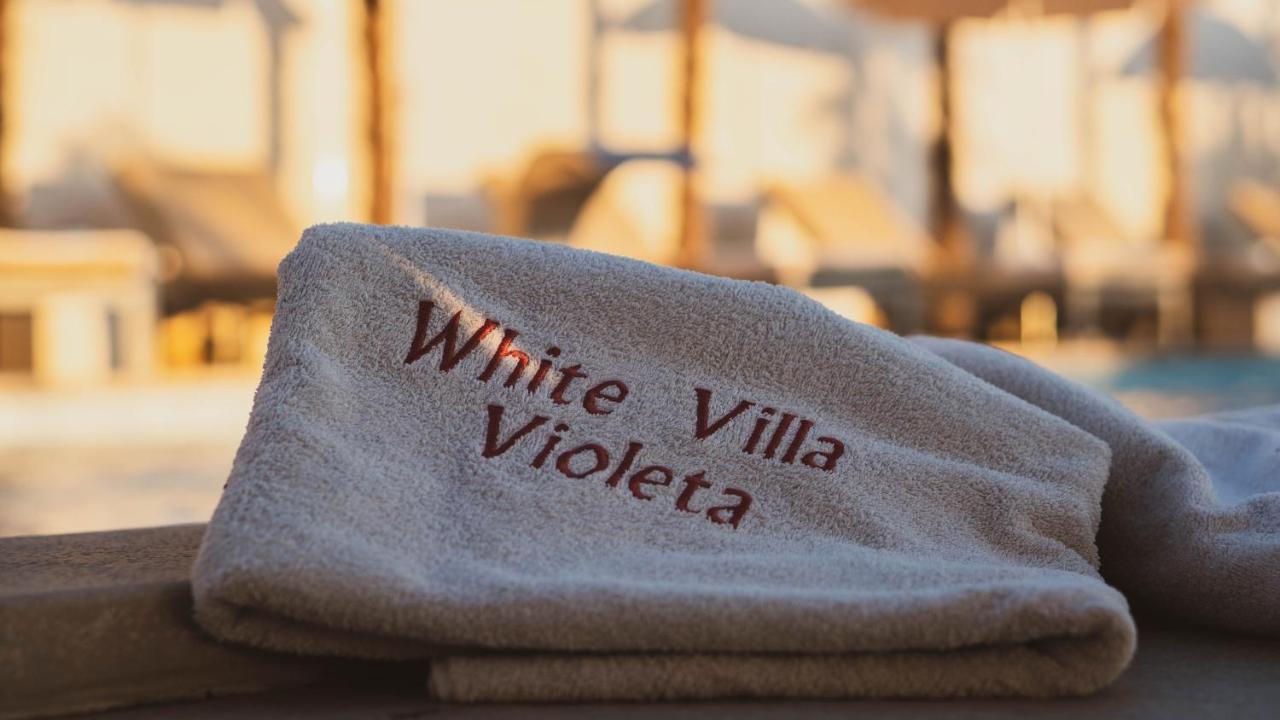 Apartment Luxury White Violeta Mandre